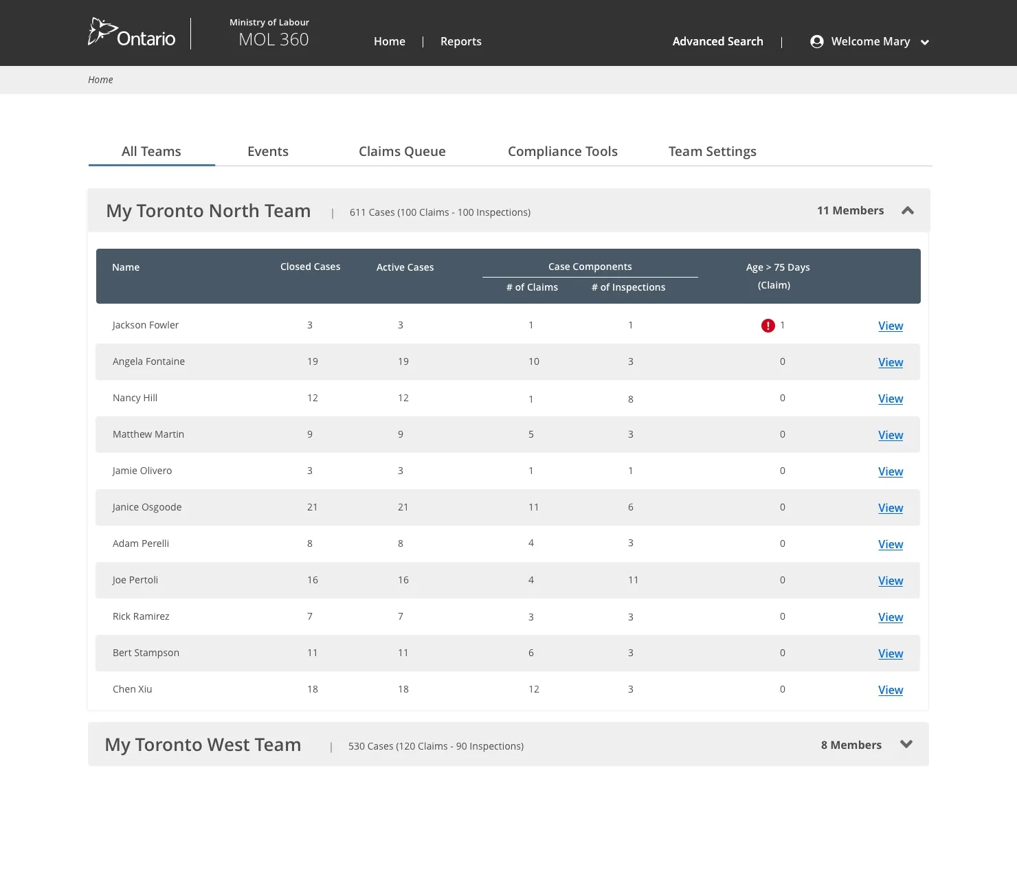 Manager executive dashboard